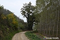 VBS_7862 - Là, dove finisce la strada, comincia un mondo